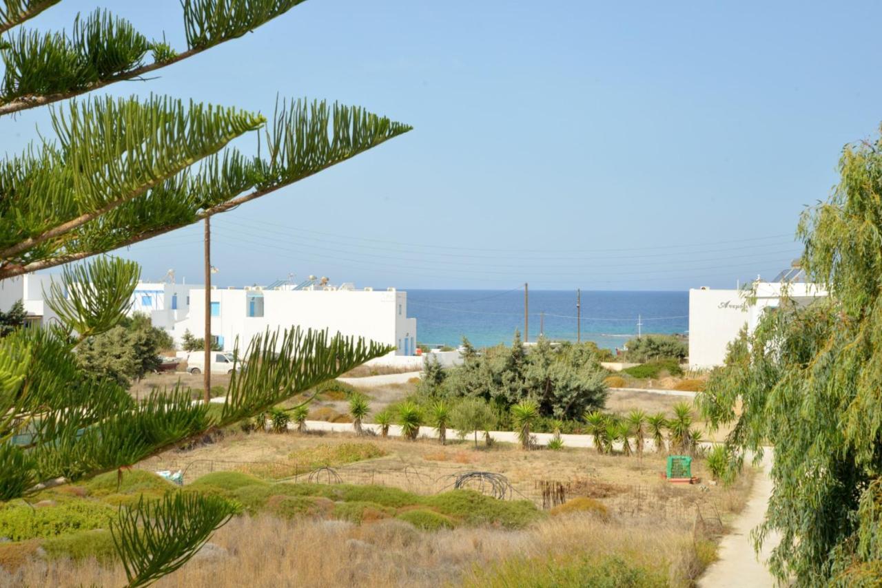 Studios Kymata بولونيا المظهر الخارجي الصورة